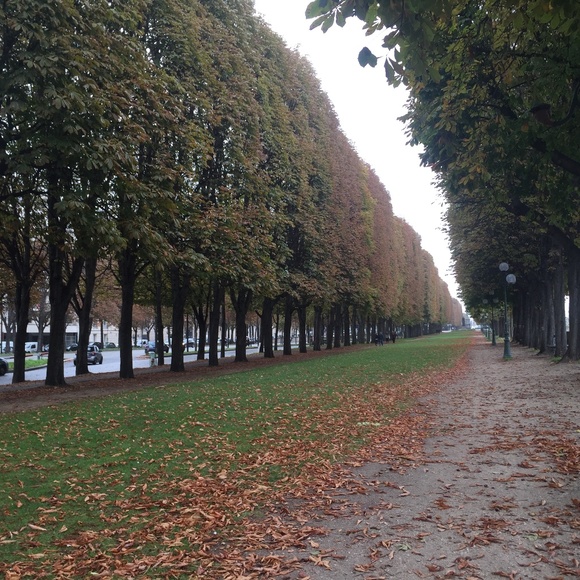 Meet your Posher, Vanessa - Picture 1 of 1